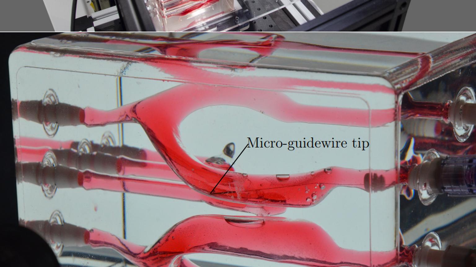 Swiss Vascular Ventricular Module Supports Advanced Magnetic Navigation