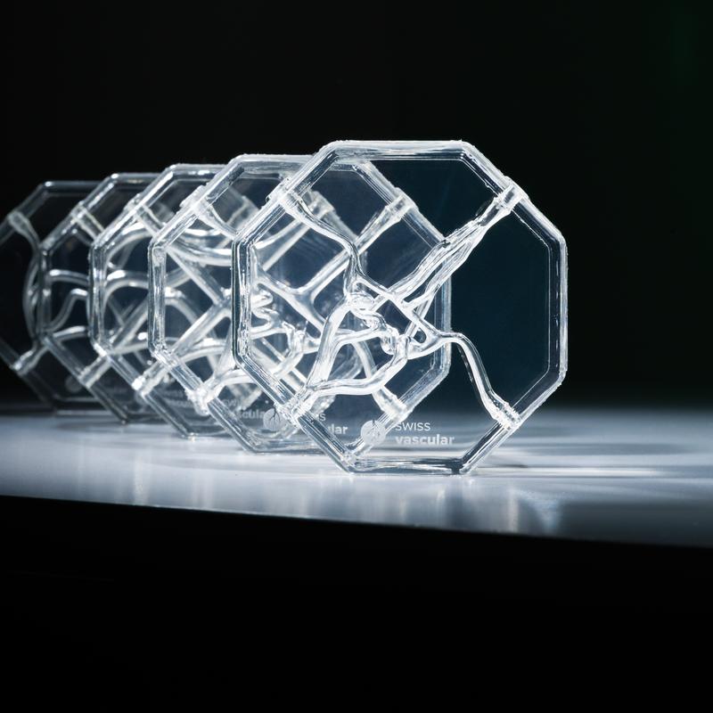 Image of Octo Series