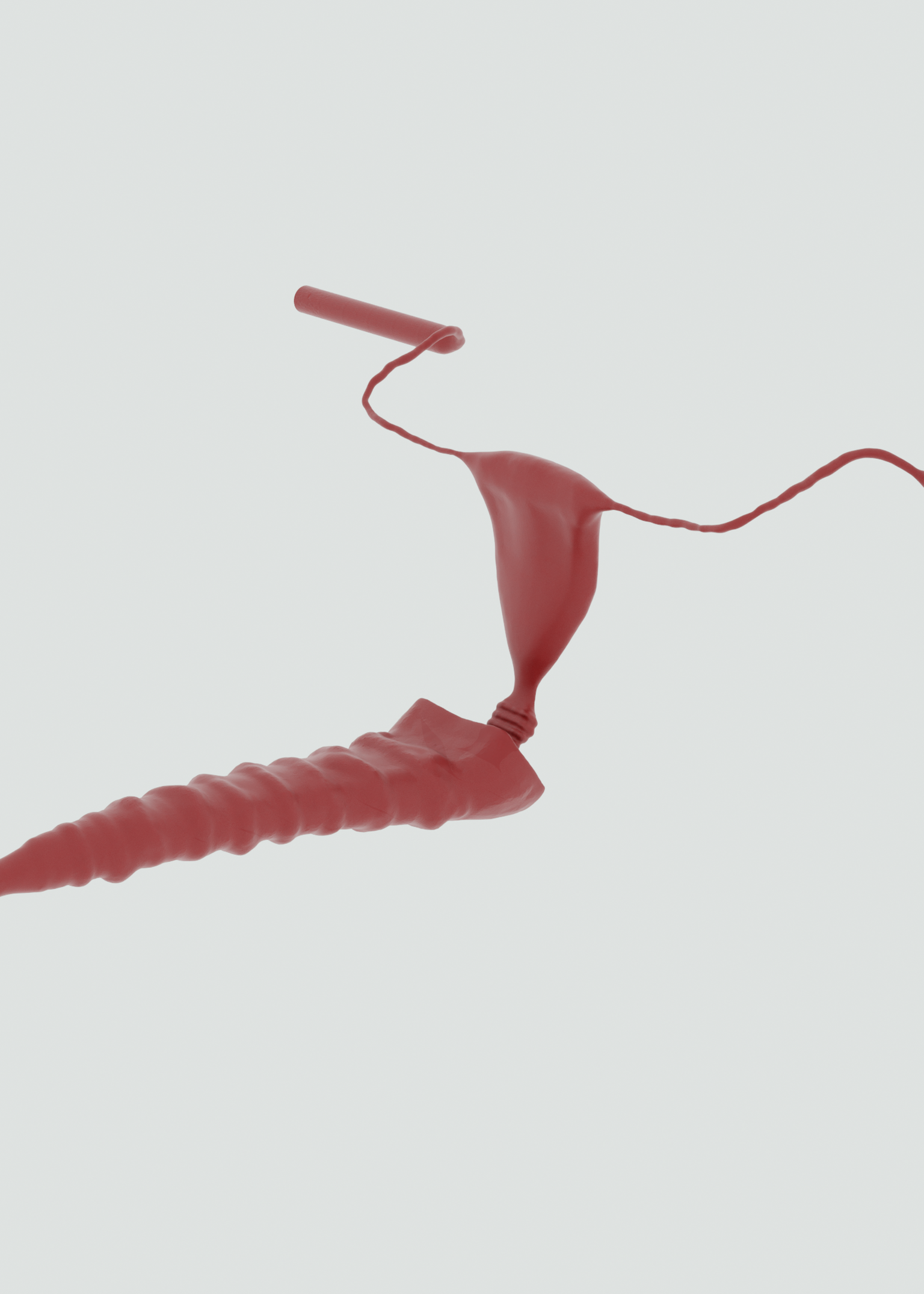 Female Reproductive System
