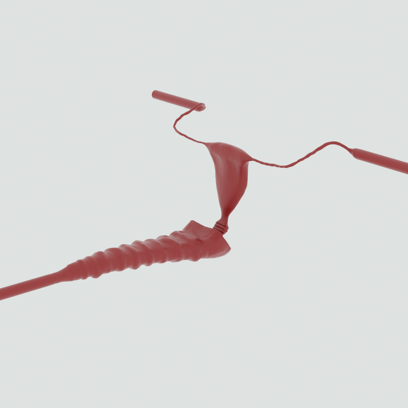 Image of Female Reproductive System