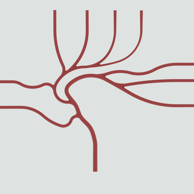 Image of Cerebral 2D
