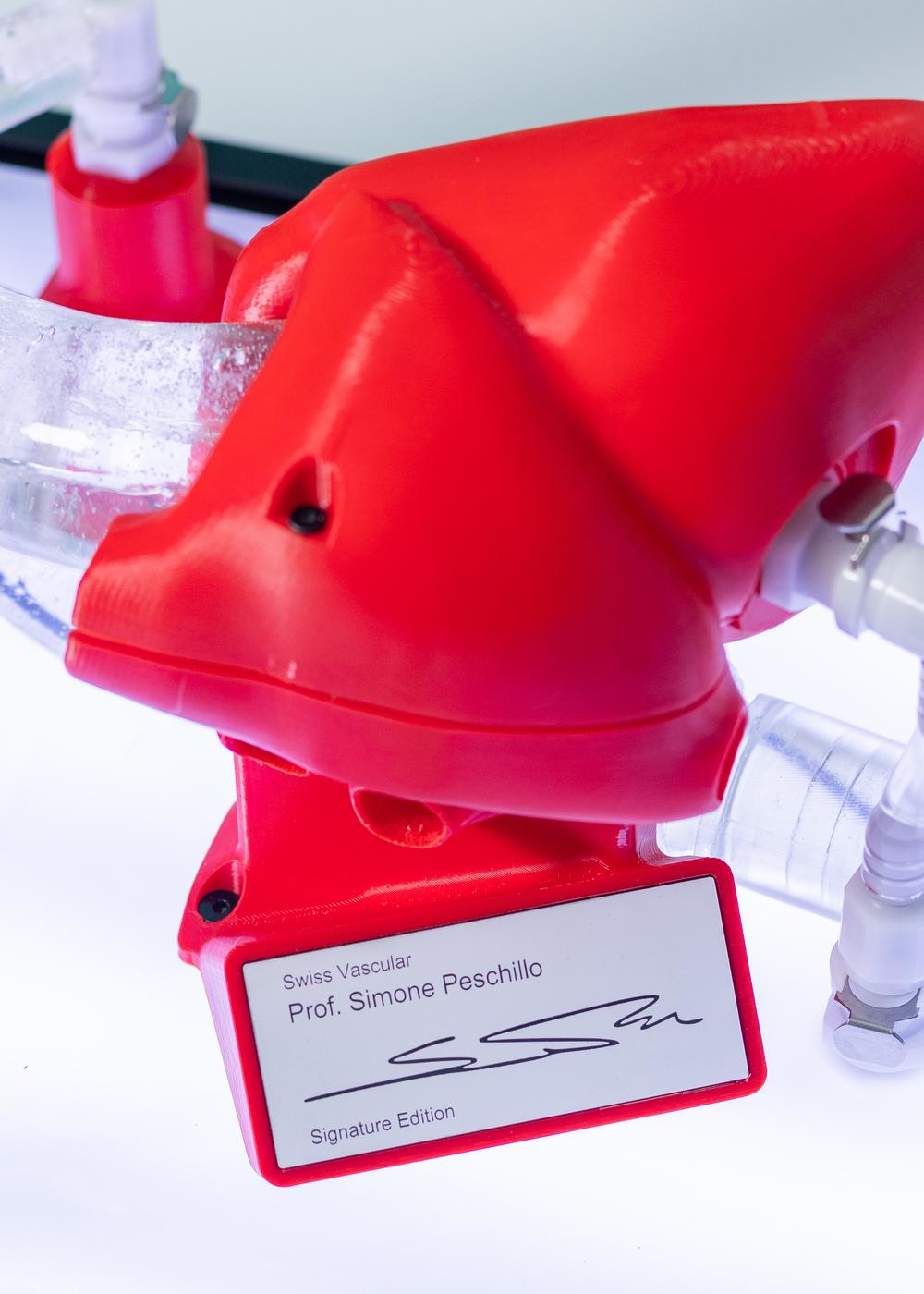 Special Edition Endovascular Simulator