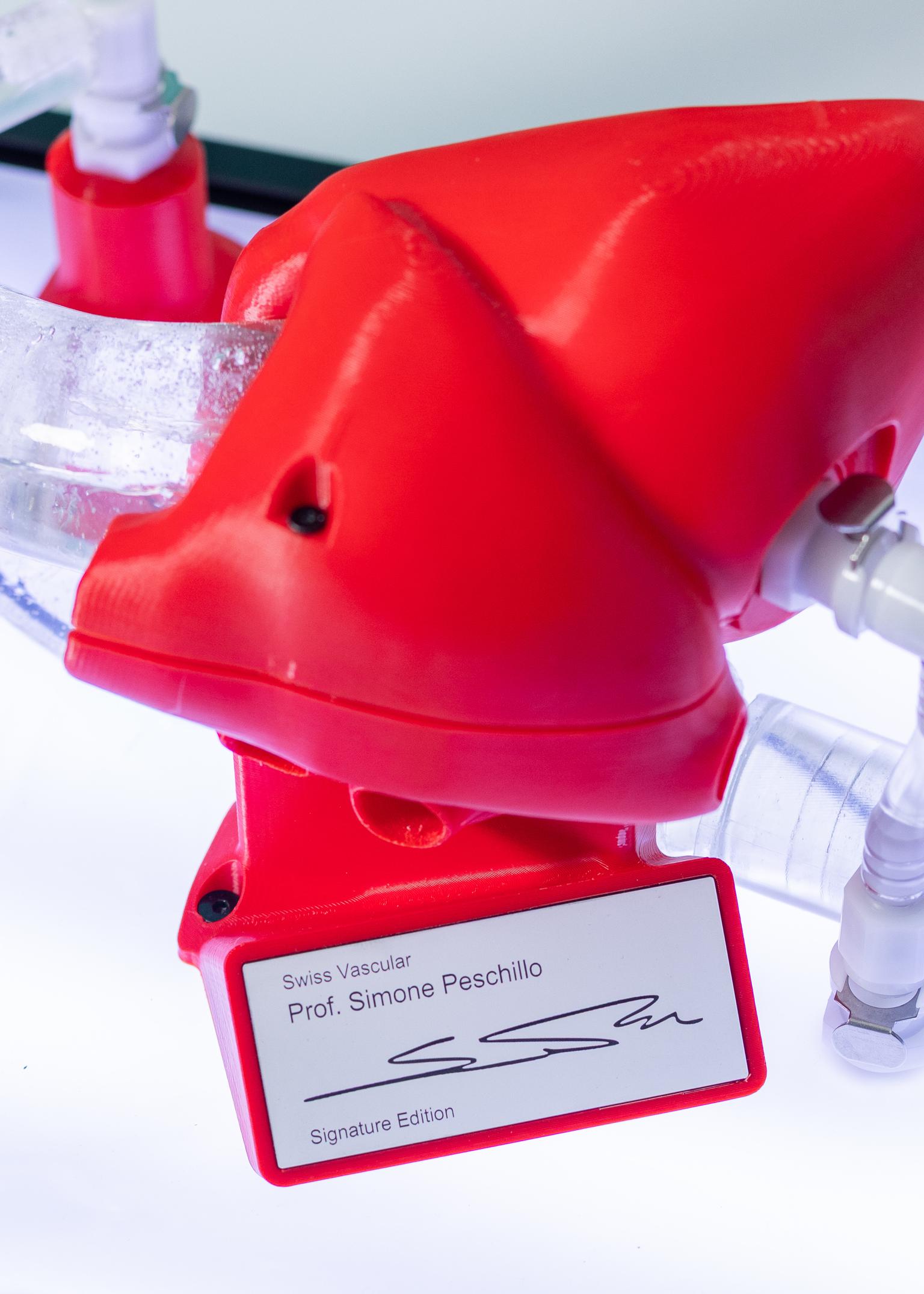 Special Edition Endovascular Simulator