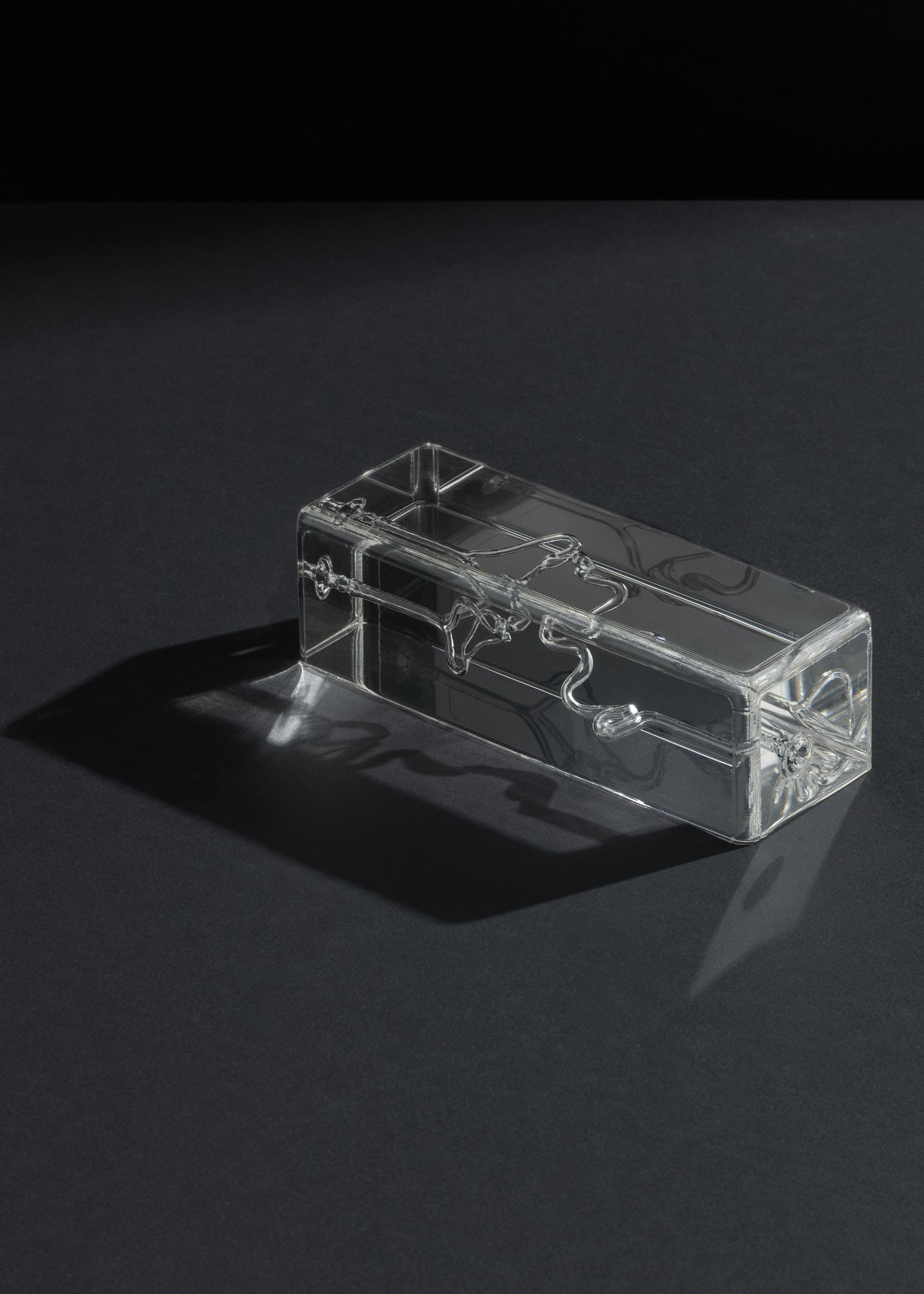 Swiss Vascular Technology Featured in ACS Nano