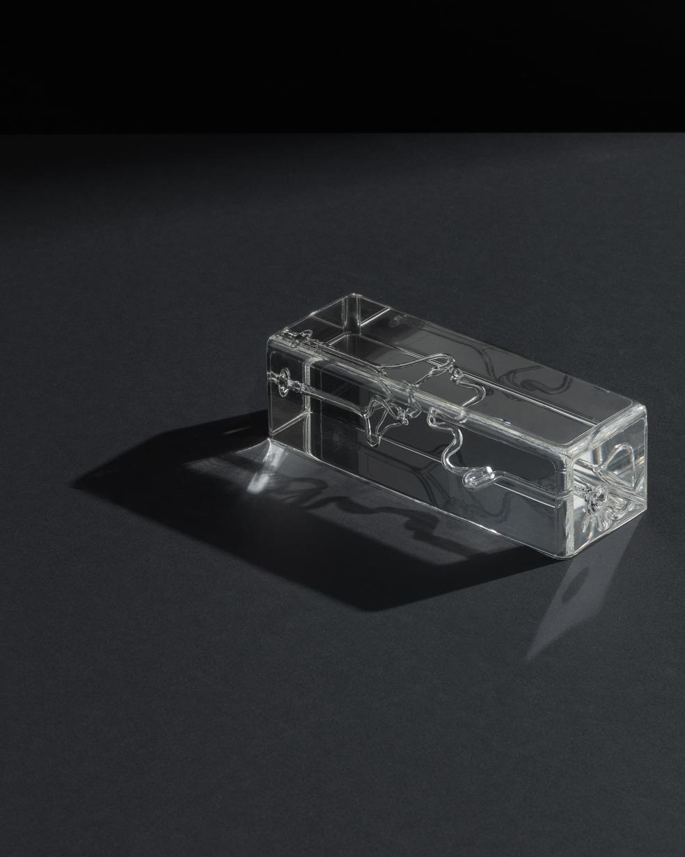 Swiss Vascular Technology Featured in ACS Nano