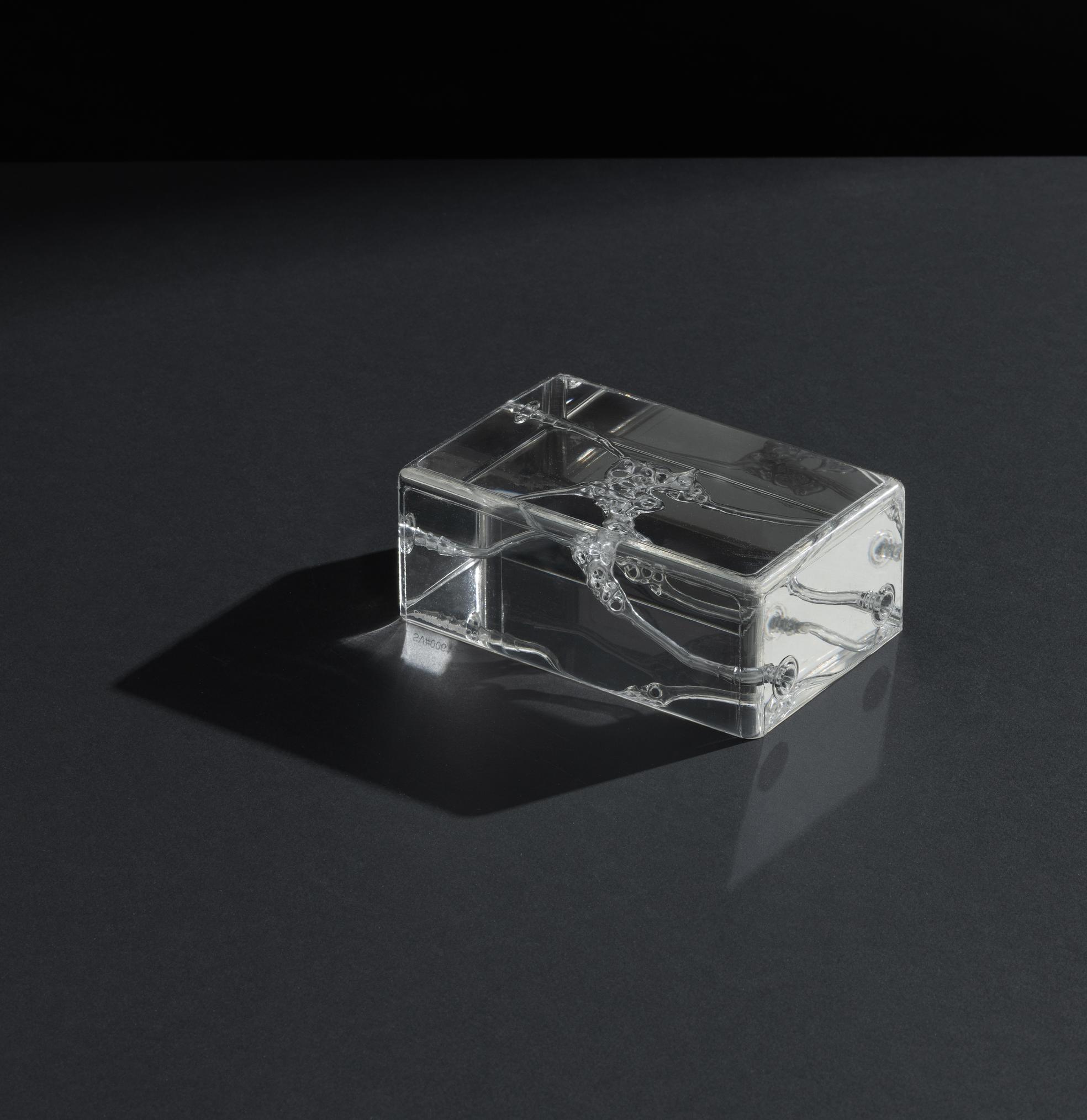 Silicone Modules