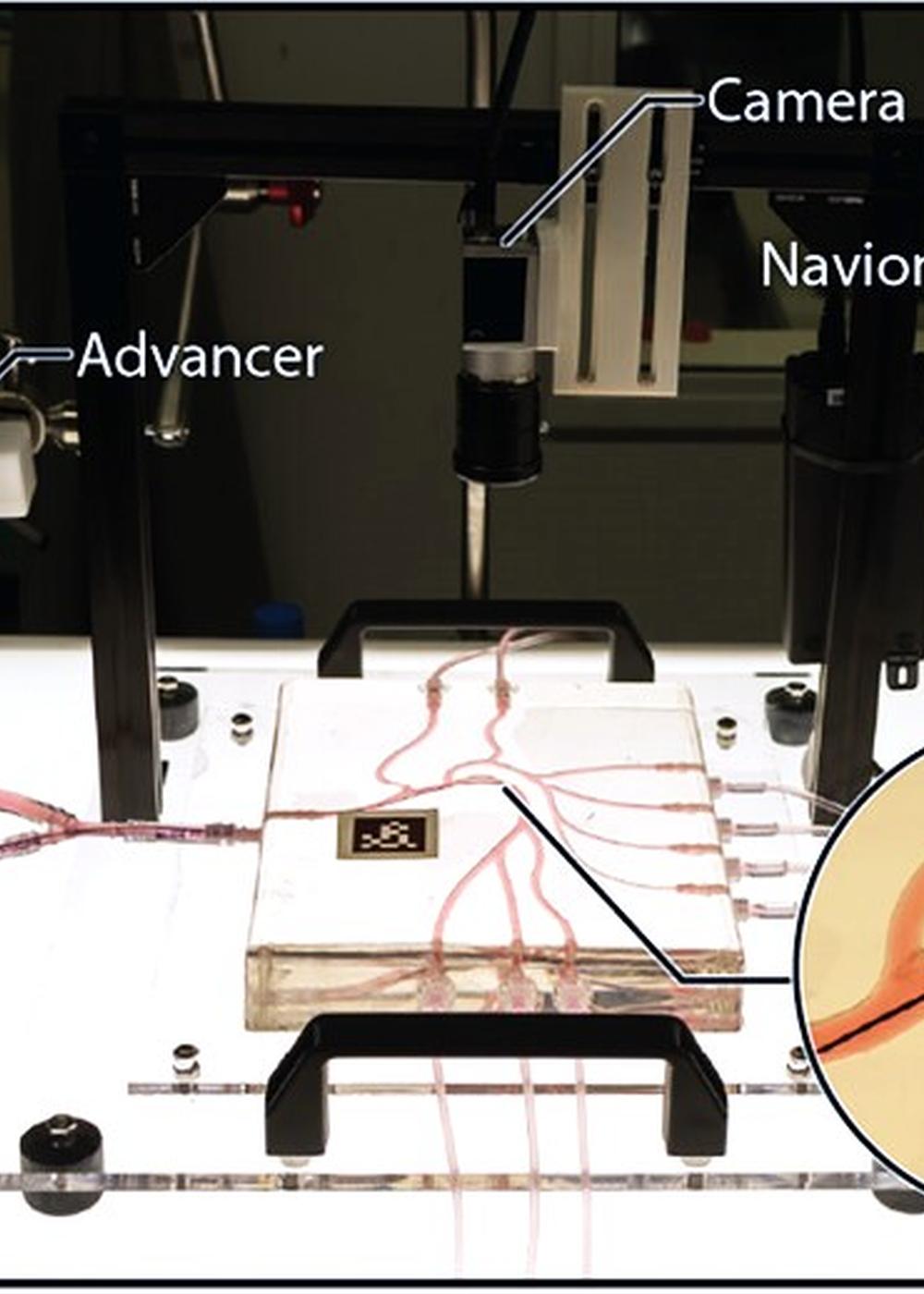 Swiss Vascular Modules Power Next-Generation Telesurgery Research