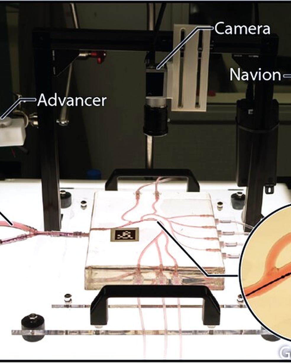 Swiss Vascular Modules Power Next-Generation Telesurgery Research