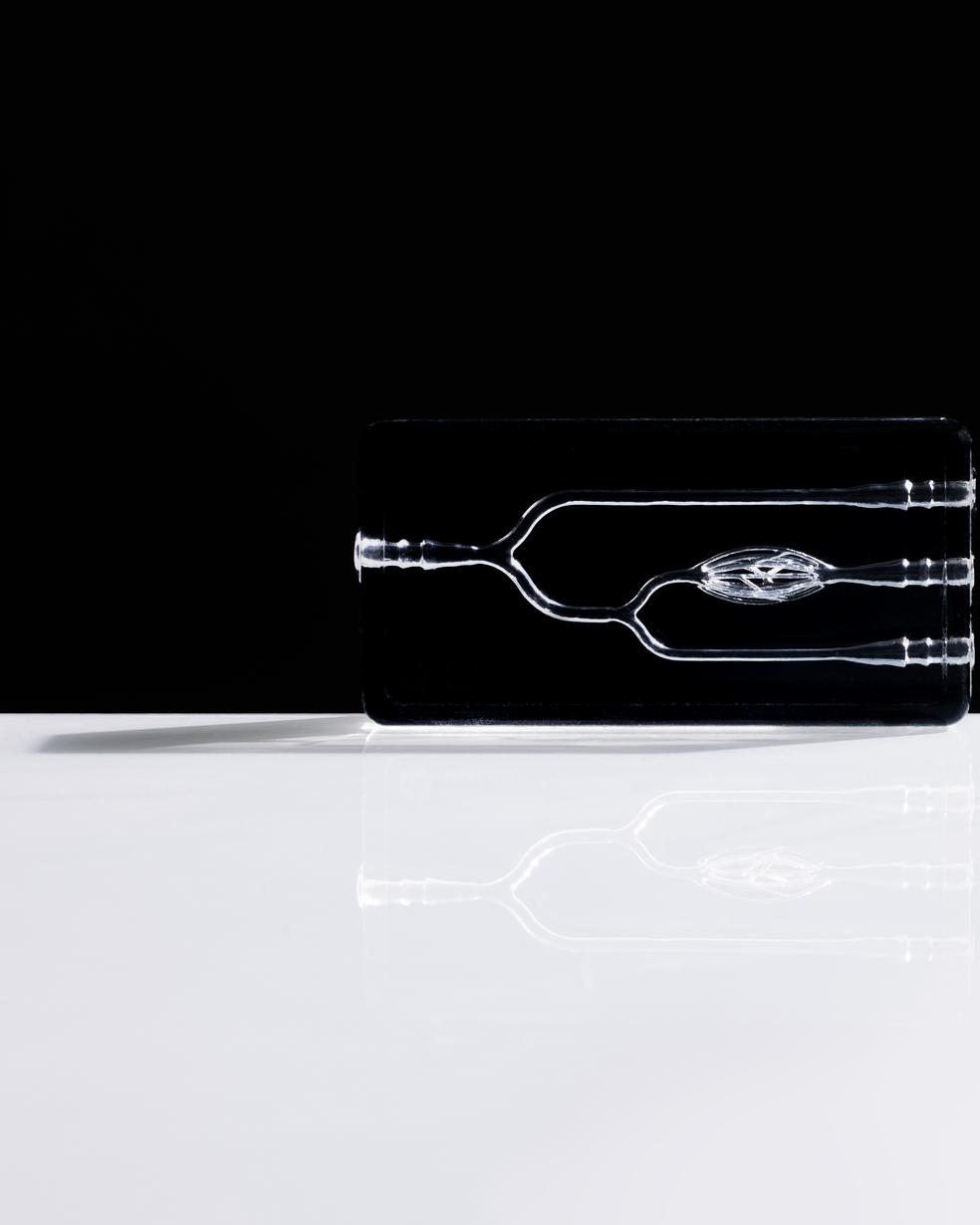 Swiss Vascular Technology Featured in Dynabot Research