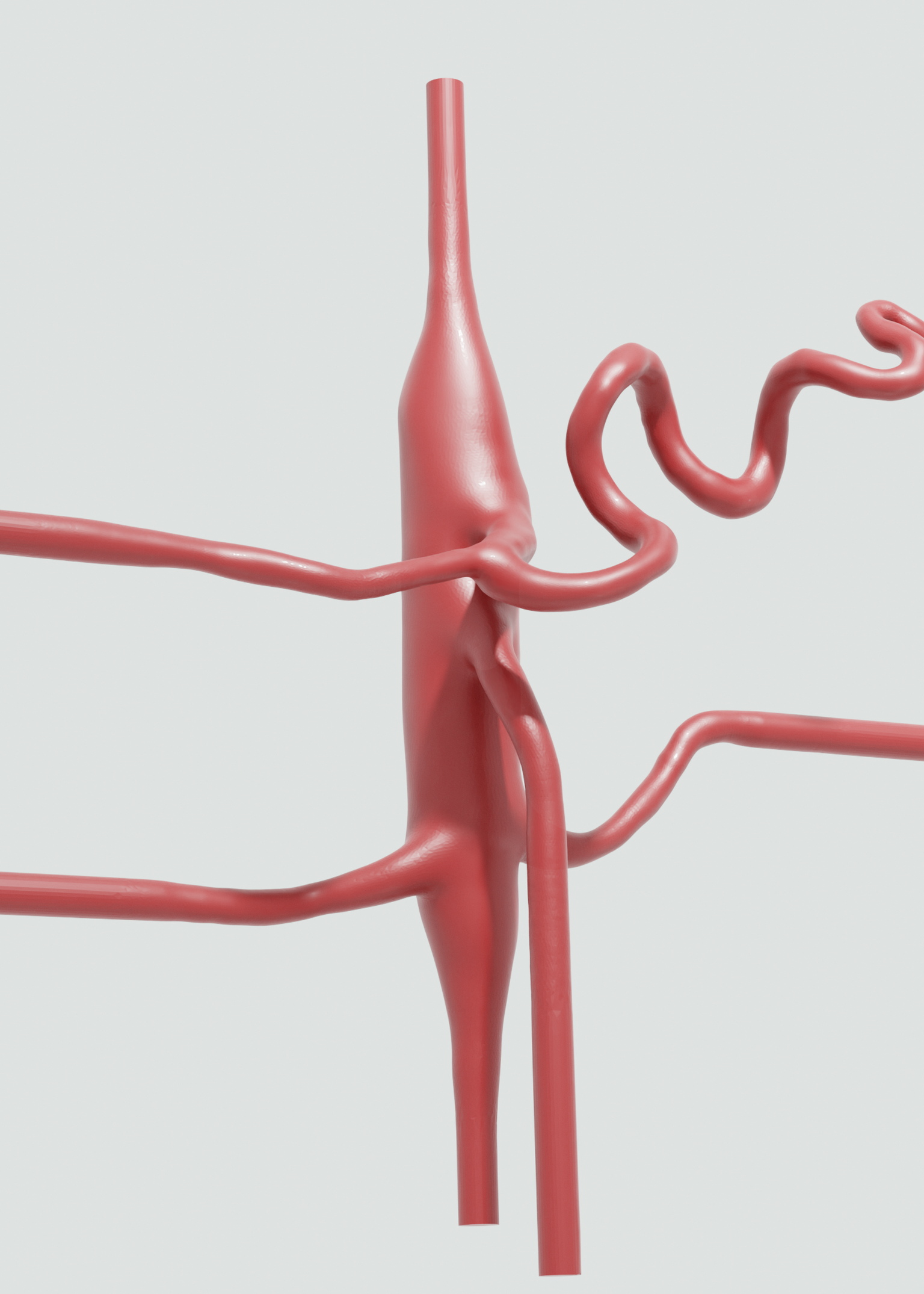 Abdominal 3D
