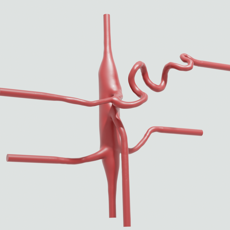 Image of Abdominal 3D