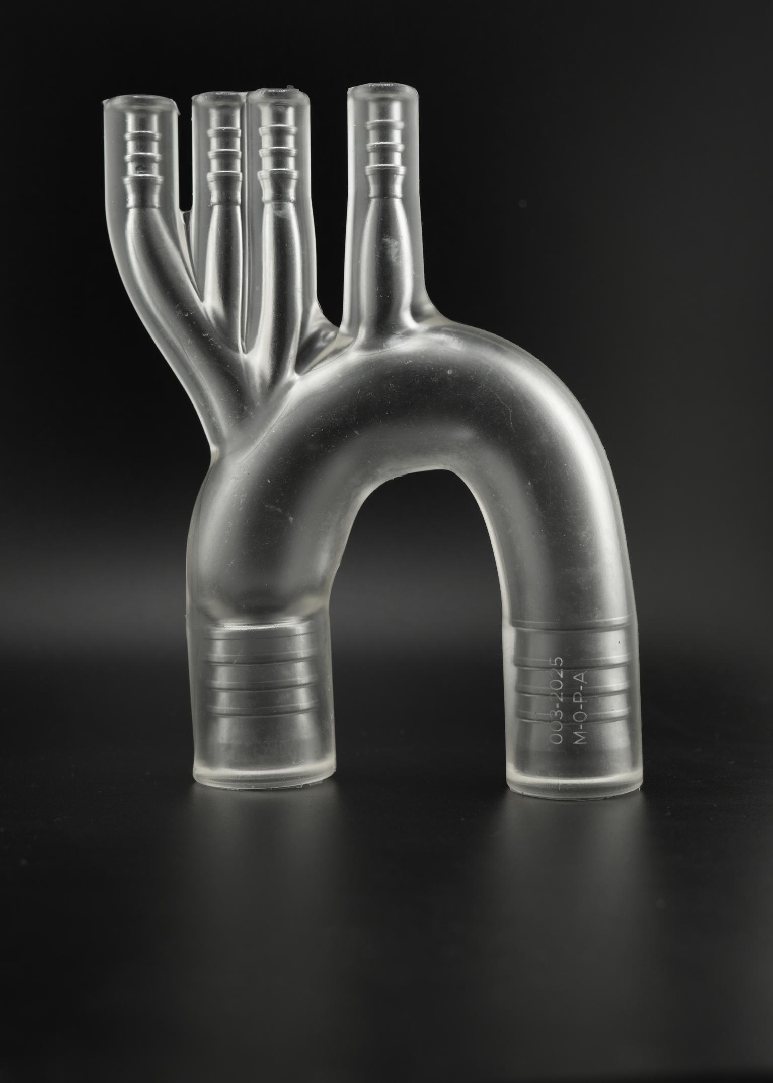 Aorta 2D
