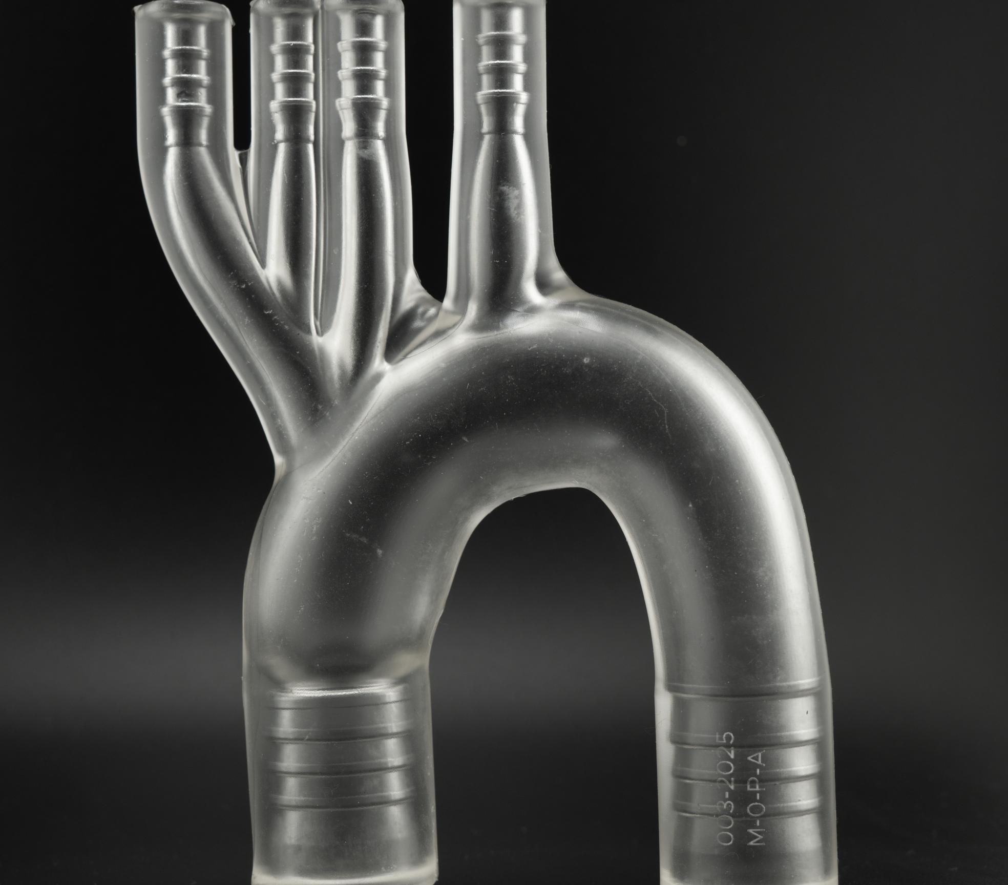 Aorta 2D
