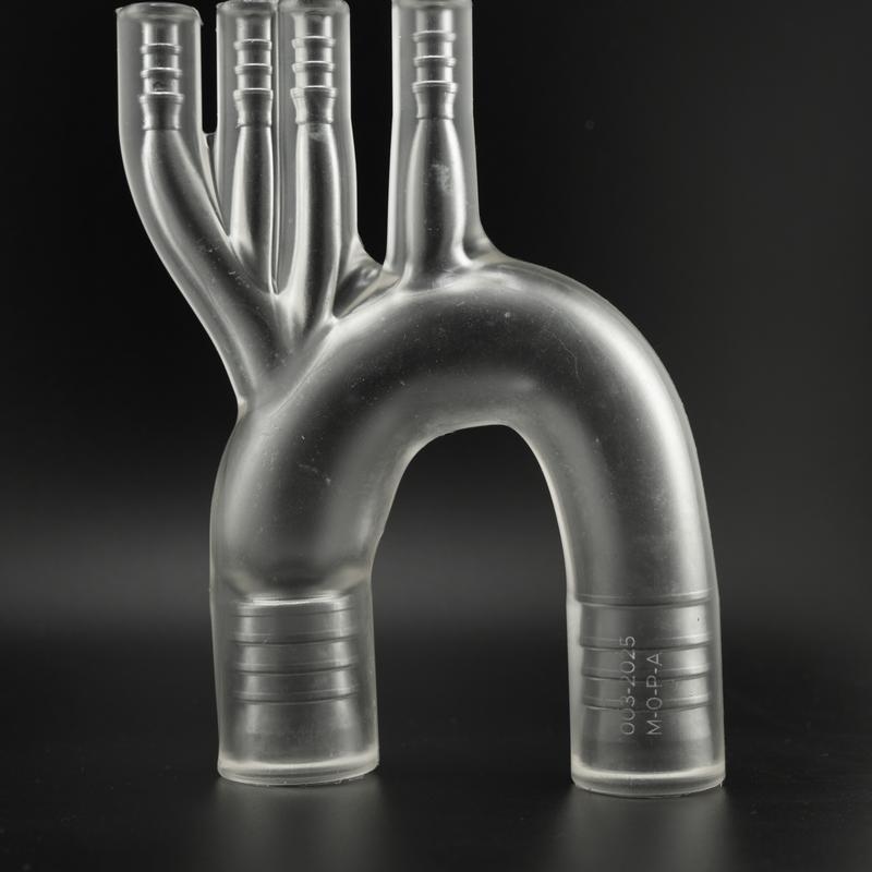 Image of Aorta 2D