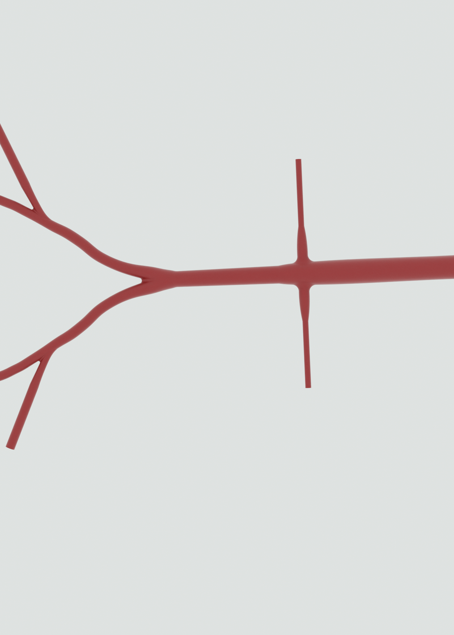 Abdominal 2D
