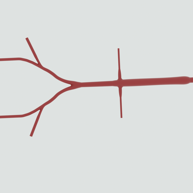 Image of Abdominal 2D
